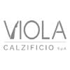logo viola